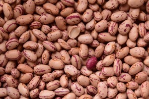 fagioli